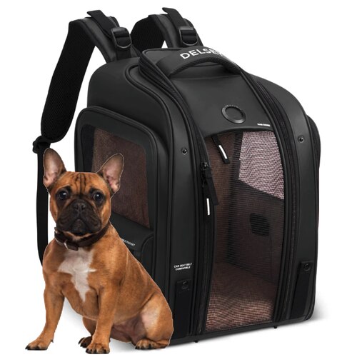 Delsey Raspail Pet Carrier Backpack - Black